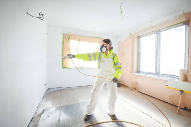Best Attic Mold Removal  in Fairfax, OH