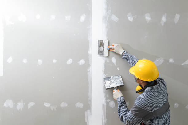 Best Post-Construction Mold Inspection  in Fairfax, OH